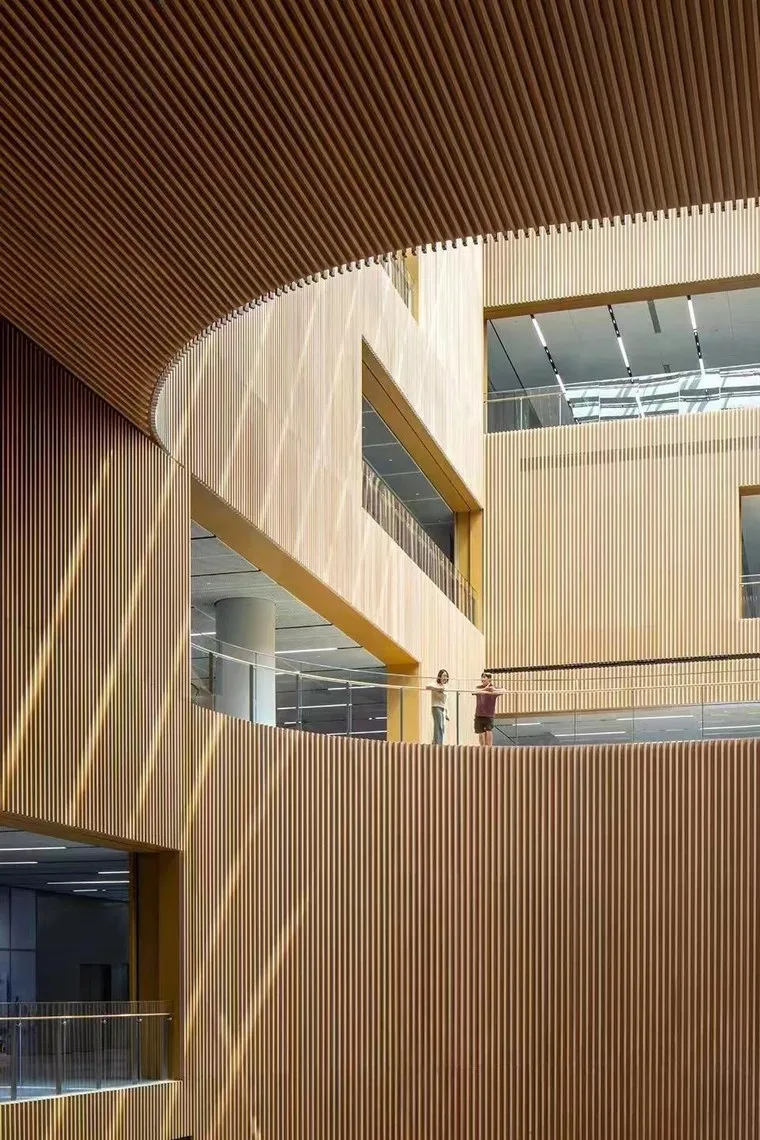 Curved timber slat walls in an atrium